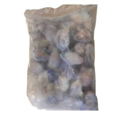 IQF OYSTER MEAT 1KG