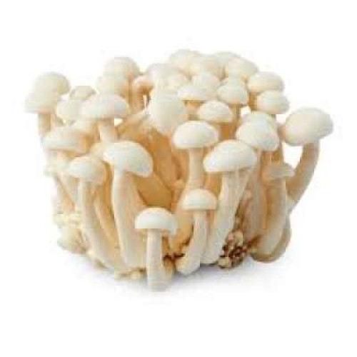 BAI YIK MUSHROOM 150G