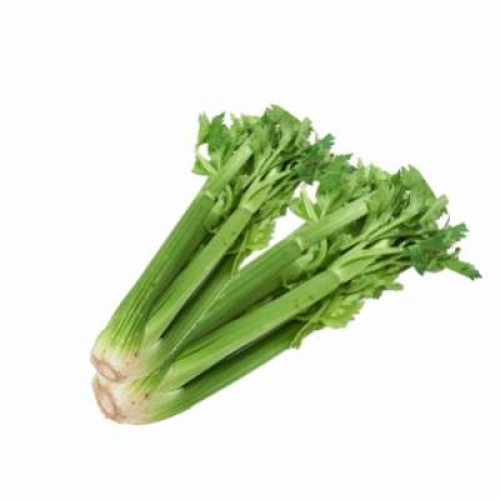 CN CELERY-KG