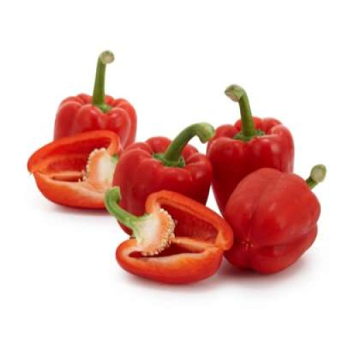 CHINA RED CAPSICUM (PEPPER) - KG