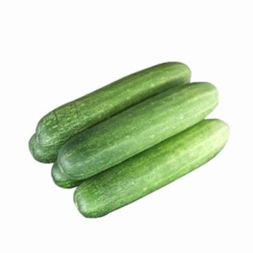 CUCUMBER/TIMUN-KG