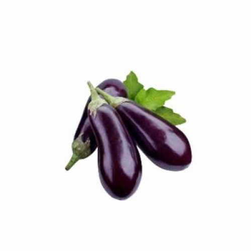 BRINJAL-KG