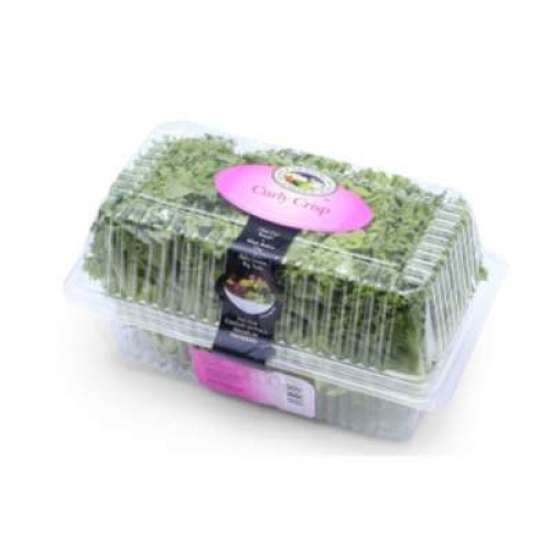 GENTING GARDEN CURLY CRISPY LETTUCE 2PCS