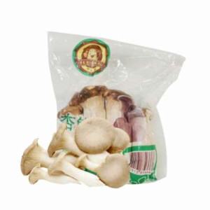 YONG JIA FRESH ABALONE MUSHROOM 200G YONG JIA FRESH ABALONE MUSHROOM 200G