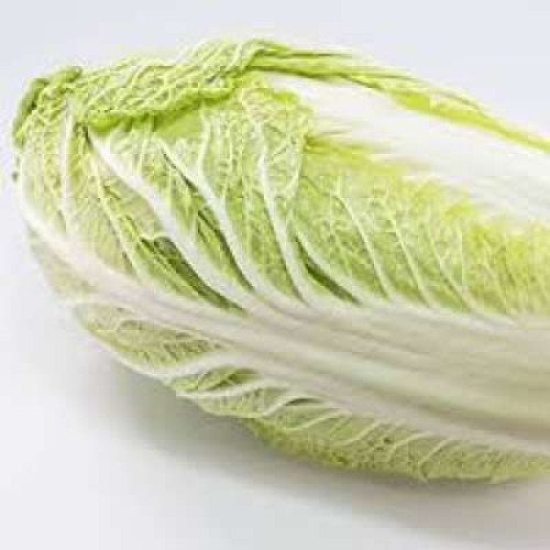 HL JAPANESE CABBAGE-KG