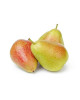 SA FORELLE PEAR-KG