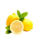 SA LEMON-KG