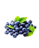 DRISCOLL BLUEBERRY 125G