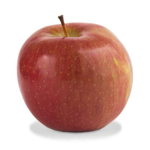 SA RED FUJI APPLE (120S-135S)-PCS