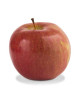 SA RED FUJI APPLE (120S-135S)-PCS