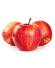 SA ROYAL BEAUTY APPLE 135-164S-PCS