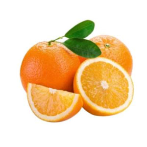 SA VALENCIA ORANGE-PCS SA VALENCIA ORANGE-PCS