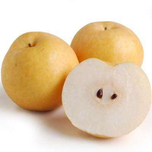 KOREA PEAR-PCS