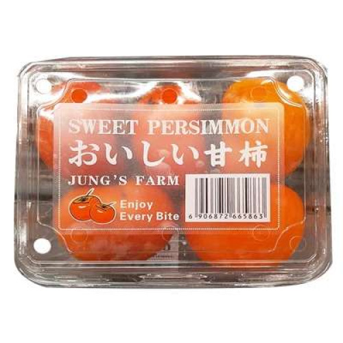 CN PERSIMMON-TRAY