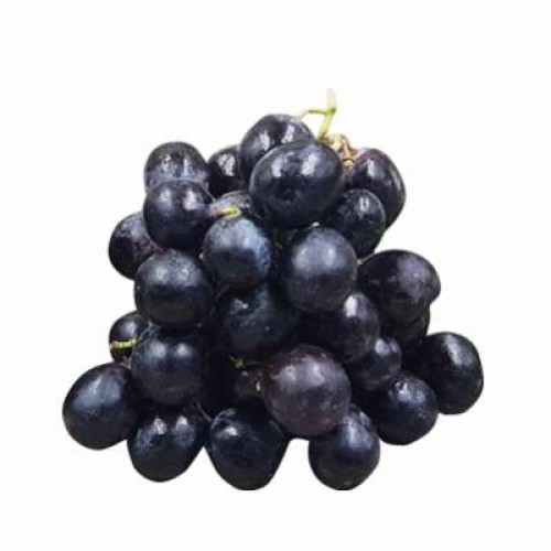 SA BLACK SEEDLESS GRAPE 500G (IMG)