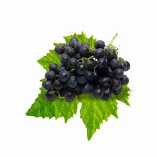 SA BLACK SEEDLESS GRAPE 500G