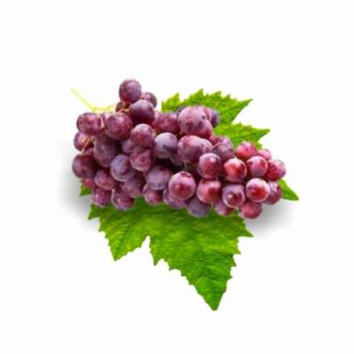 SA RED RALLI SEEDLESS GRAPE 500G