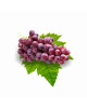 SA RED RALLI SEEDLESS GRAPE 500G