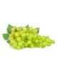 SA GREEN GRAPE 500G