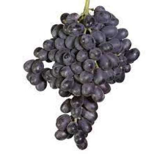 AUST MELODY/AUTUMN ROYAL BLACK SEEDLESS GRAPE 500G