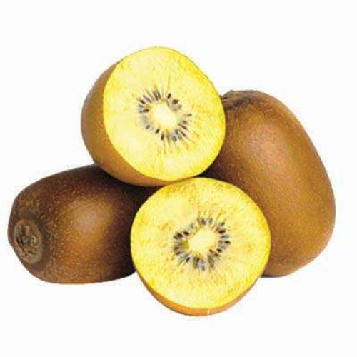 NZ ZESPRI SUN GOLD 5S