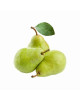 SA PACKHAM PEAR -PCS