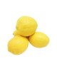 SA LEMON(500G-600G)(FP)