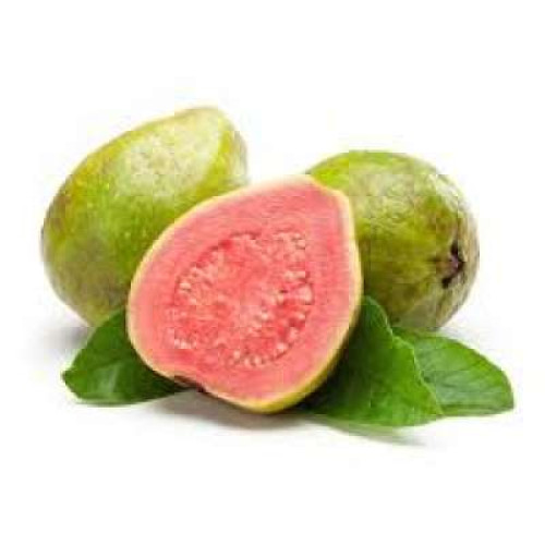 TAIWAN PINK GUAVA 500-600G