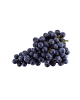 LUBNAN/LEBANON BLACK SEEDLESS GRAPE 500G