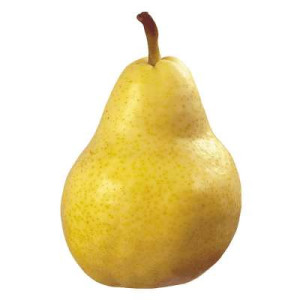 YA PEAR - PCS