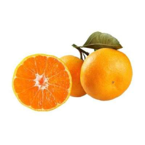 CN NANFUNG TANGERINE 480G - PKT