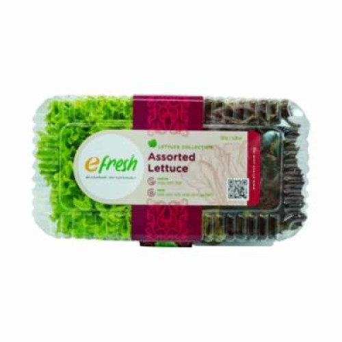 ASSORTED LETTUCE 150G