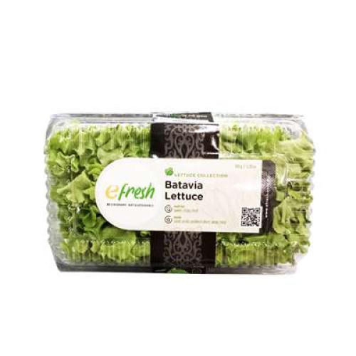 BATAVIA LETTUCE 150G