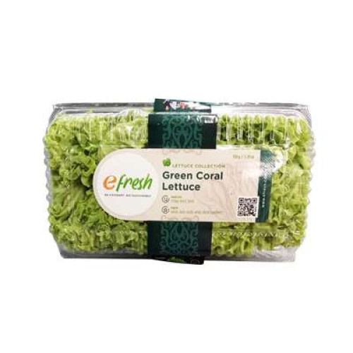 GREEN CORAL LETTUCE 150G