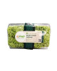 GREEN CORAL LETTUCE 150G