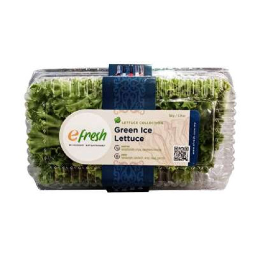 GREEN ICE LETTUCE 150G