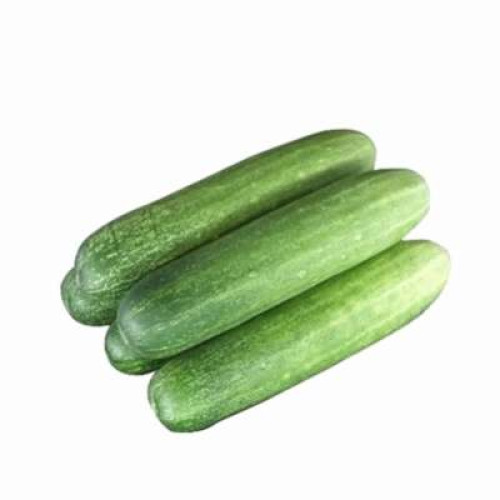 CUCUMBER/TIMUN (900G-1KG) (FP)