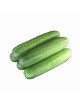 CUCUMBER/TIMUN (900G-1KG) (FP)