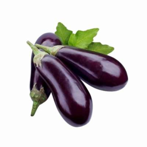 BRINJAL(500G-600G)(FP)