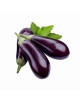 BRINJAL(500G-600G)(FP)