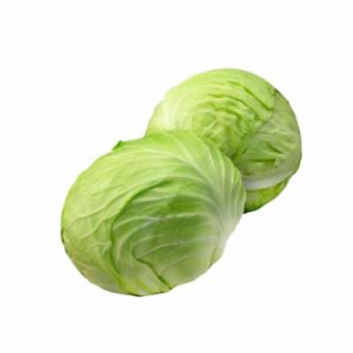 CN SWEET CABBAGE(1.4KG-1.6KG)(FP)