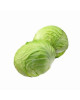 CN SWEET CABBAGE(1.4KG-1.6KG)(FP)