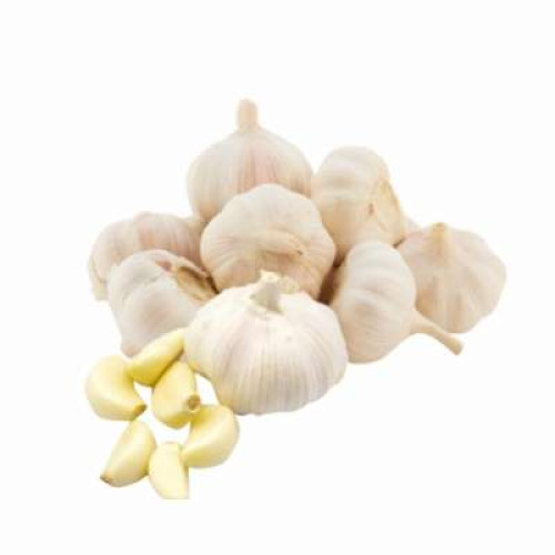 GARLIC(900G-1KG)(FP)