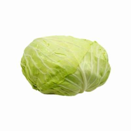 CN ROUND CABBAGE(1KG-1.2KG)(FP)