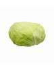 CN ROUND CABBAGE(1KG-1.2KG)(FP)