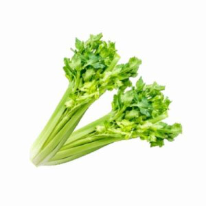 CN CELERY(800G-1KG)(E) CN CELERY(800G-1KG)(E)