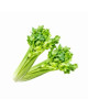 CN CELERY(800G-1KG)(FP)