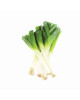 WHITE LEEK(250G-300G)(FP)