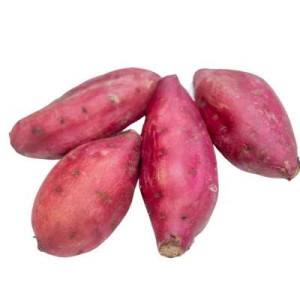 INDONESIA JAPANESE SWEET POTATO 500G INDONESIA JAPANESE SWEET POTATO 500G