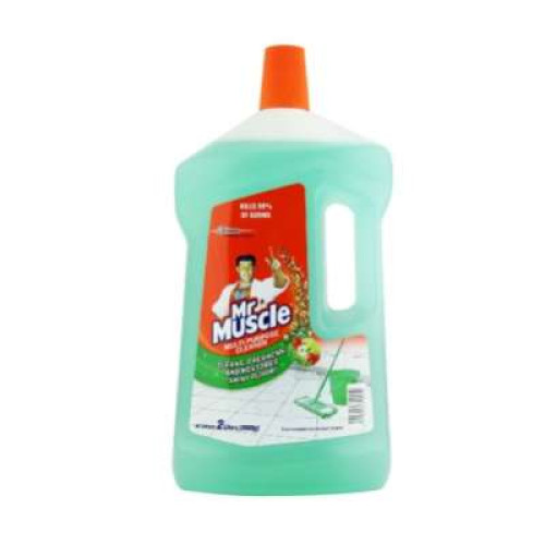 MR.MUSCLE FLOOR CLNR - MORNING FRESHNESS 1L